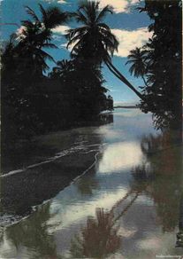 Cartoline: Martinique - Anse Madame - Embouchure de la Rivière Touza - CPM - Voir Scans Recto-Verso